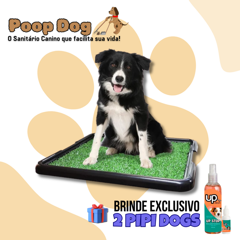 Sanitário Pet Grama Canino + Educador Canino Cat Dog Banheiro Tapete Higiénico Cães Pet